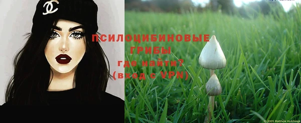 дживик Аркадак
