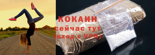 эйфоретик Арсеньев