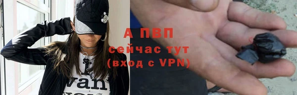 эйфоретик Арсеньев