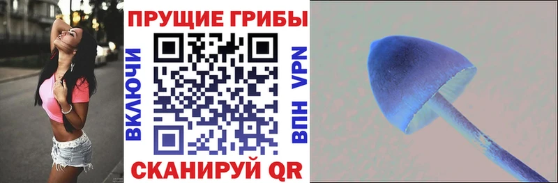 Псилоцибиновые грибы Cubensis Таруса
